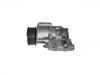 Ölpumpe Oil Pump:04256853