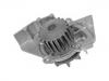 Water Pump:956 914 7388