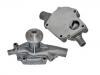 Water Pump:16100-87381