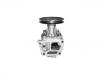 Water Pump:5893340