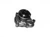Water Pump:1334034