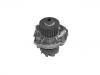 Water Pump:46520401