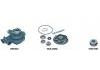 Pump repair kit:425.524