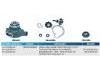 Pump repair kit:314.200.06.01 /  314.200.29.01
