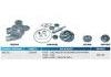 SCANIA Pump repair kit:320.592