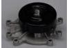 Water Pump:53021187AA