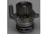 Water Pump:38121011