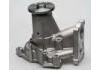 Water Pump:2510042540