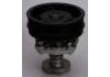Water Pump:7784988