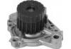 Water Pump:19200P2A004