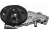 Water Pump:7701463377
