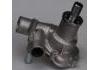 Water Pump:40611307010