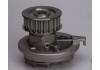 Water Pump:1334013