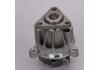 Water Pump:31319266