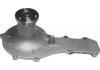 Water Pump:4483453