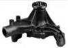 Water Pump:474029