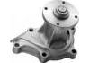 Water Pump:2101016E01