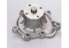 Wasserpumpe Water Pump:1610079035