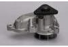 Water Pump:251002A300