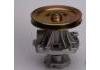 Water Pump:5882695