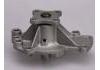 Water Pump:2101053J00