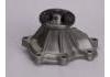 Water Pump:2101003J25