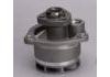 Wasserpumpe Water Pump:1334117