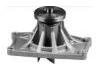 Water Pump:2510045002