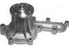 Wasserpumpe Water Pump:1610019235
