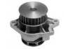 Wasserpumpe Water Pump:036121005S