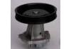 Wasserpumpe Water Pump:24537098