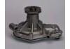 Wasserpumpe Water Pump:7701461336
