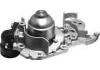 Wasserpumpe Water Pump:8200238349C