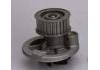 Water Pump:1334139