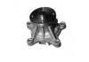 Water Pump:251002B000