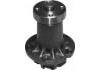 Water Pump:1102000120
