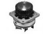 Water Pump:21010AL525