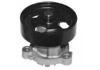Bomba de agua Water Pump:210108J000