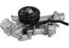 Bomba de agua Water Pump:53021380AK