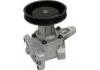 Water Pump:09052806