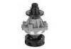 Bomba de agua Water Pump:11512243003