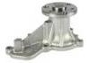 Water Pump:19200RZP013