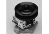 Bomba de agua Water Pump:1385827