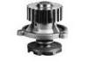 Water Pump:11021307010