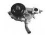 Water Pump:12445113