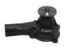 Water Pump:10049043