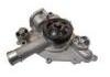 Water Pump:53022095AF