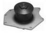Water Pump:4792195