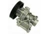 Water Pump:251002G200