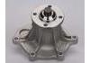 Water Pump:1610069325
